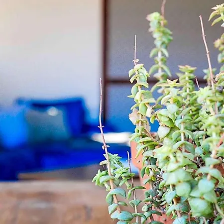 Eco Carbonaccio Hotel *