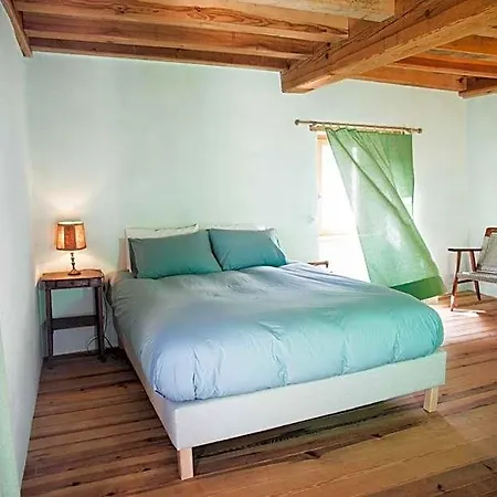 Eco Carbonaccio Monte (Corsica)