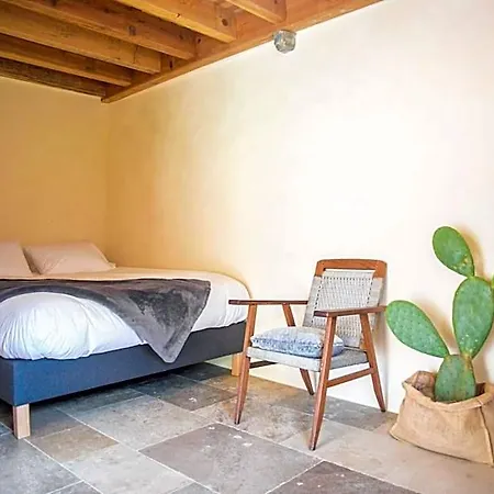 Eco Carbonaccio