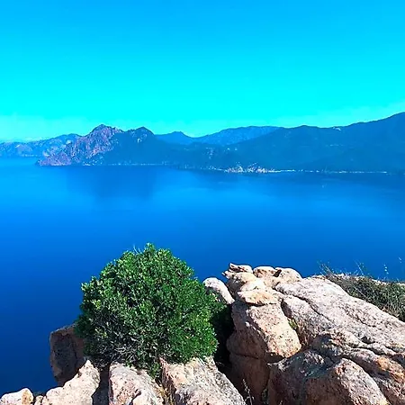 Hotel Eco Carbonaccio Monte (Corsica)